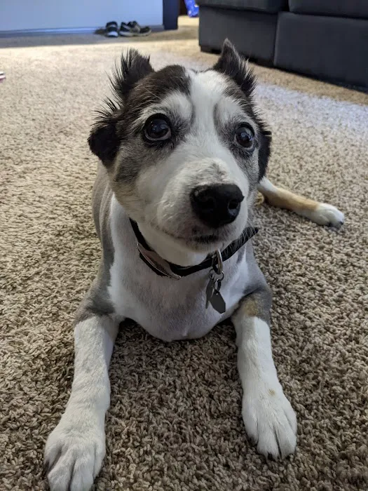 Hoof & Paw Animal Clinic Picture 8