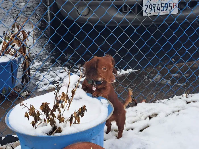 Hoof & Paw Animal Clinic Picture 9