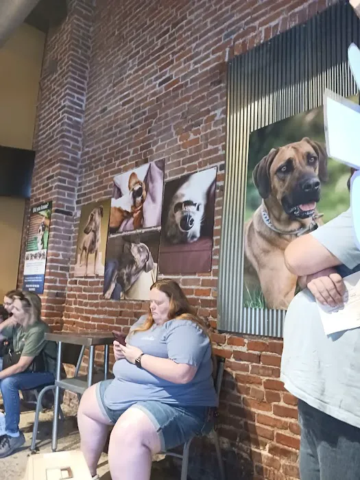 Carol House Quick Fix Pet Clinic Picture 4