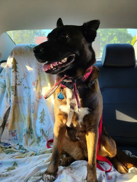 Jefferson Animal Hospital Picture 1