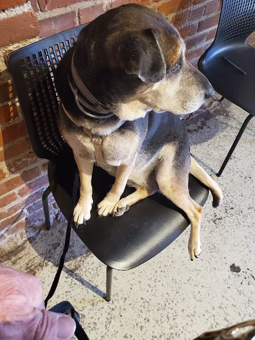 Jefferson Animal Hospital Picture 3