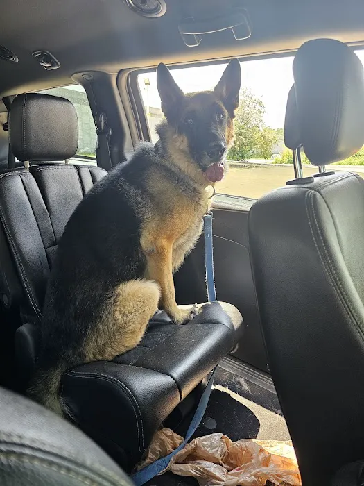 Jefferson Animal Hospital Picture 5