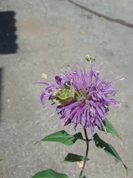 Jefferson Animal Hospital Picture 6