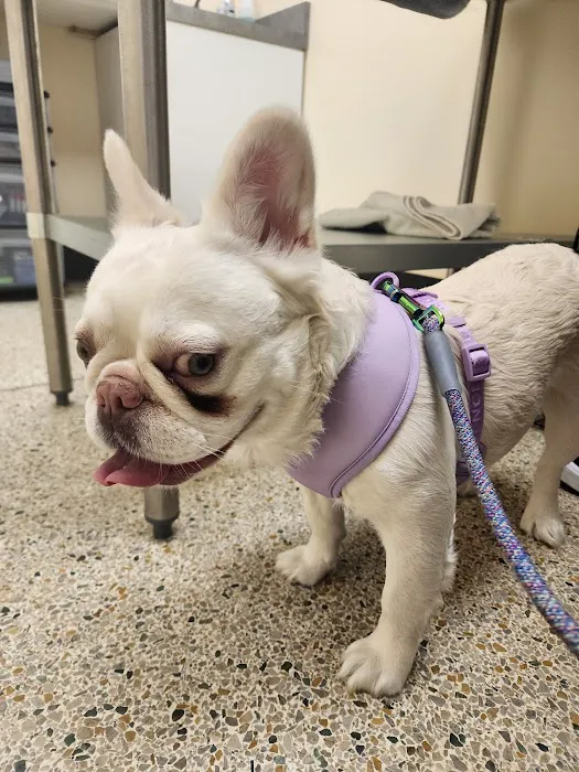 Jefferson Animal Hospital Picture 10