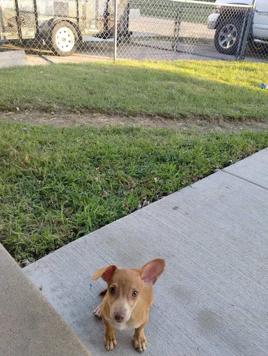 Jefferson Animal Hospital Picture 9