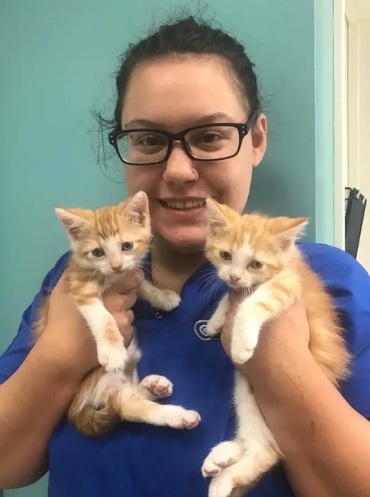 St Louis Veterinary Center Picture 7