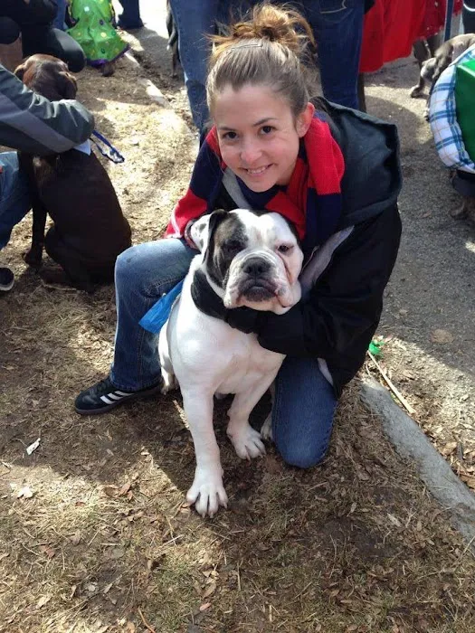 St Louis Veterinary Center Picture 6