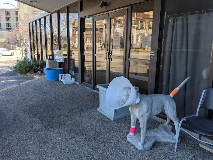 St Louis Veterinary Center Picture 9