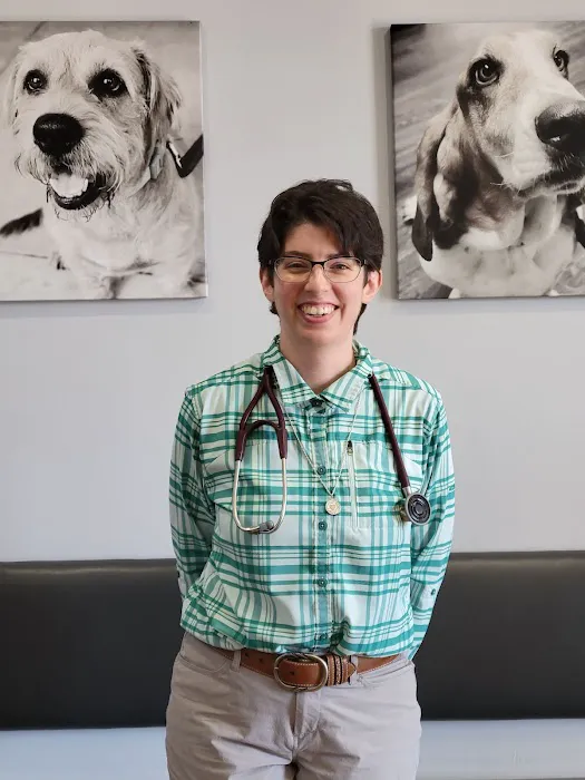 CWE Vet Hospital & Urgent Care Picture 2