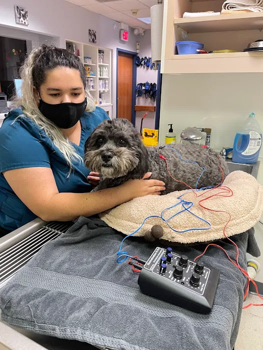 CWE Vet Hospital & Urgent Care Picture 1