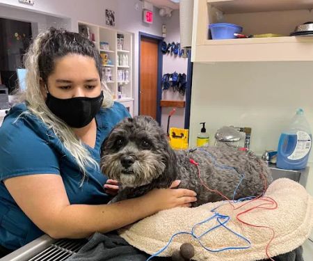 CWE Vet Hospital & Urgent Care