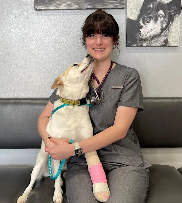 CWE Vet Hospital & Urgent Care Picture 3