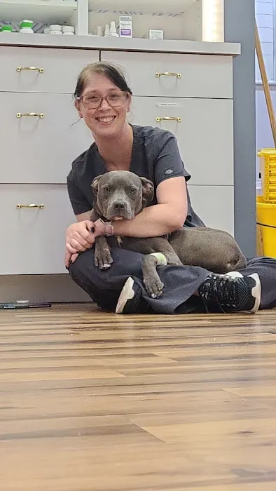 CWE Vet Hospital & Urgent Care Picture 5