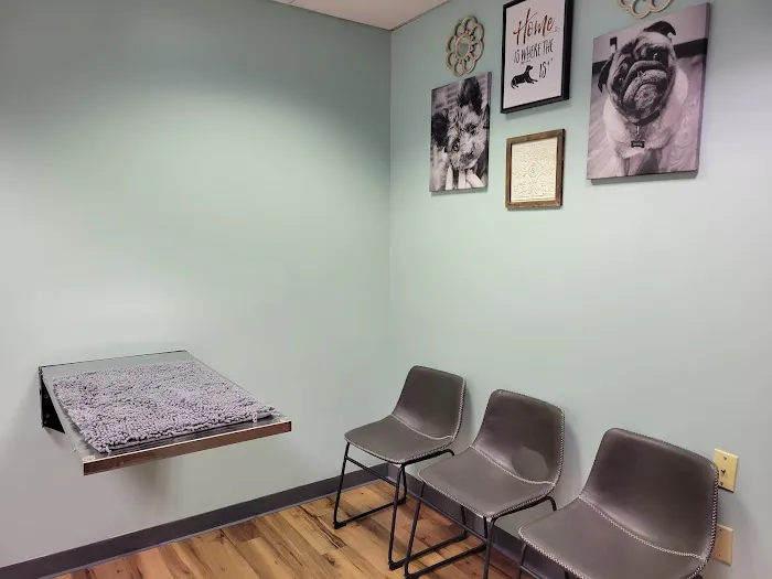 CWE Vet Hospital & Urgent Care Picture 9