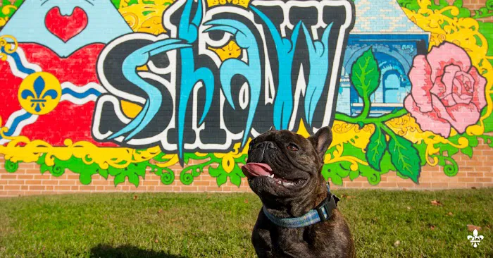 City Paws Veterinary Clinic Picture 6