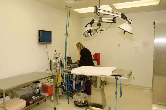 Hillside Animal Hospital Picture 2