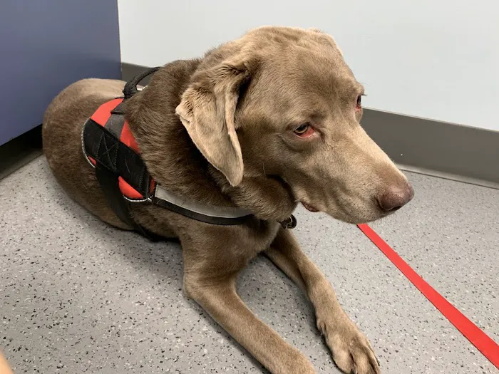 Hillside Animal Hospital Picture 4