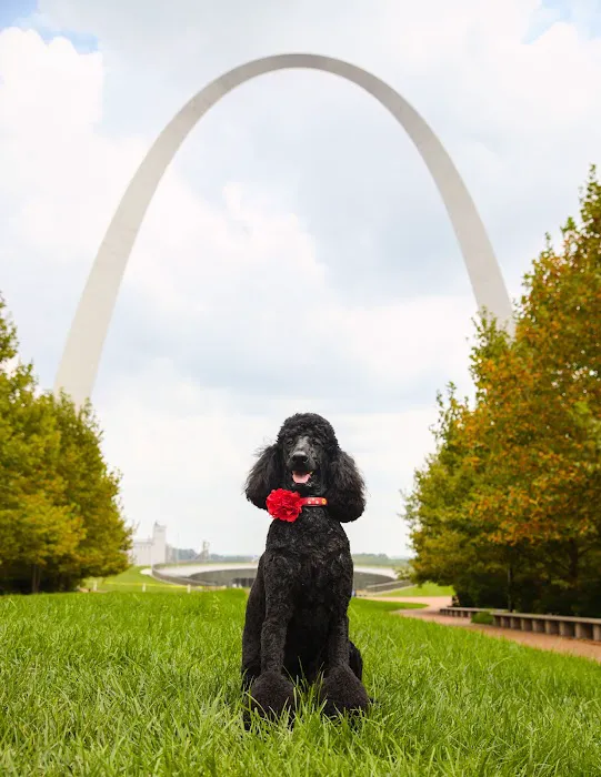 Hillside Animal Hospital Picture 3