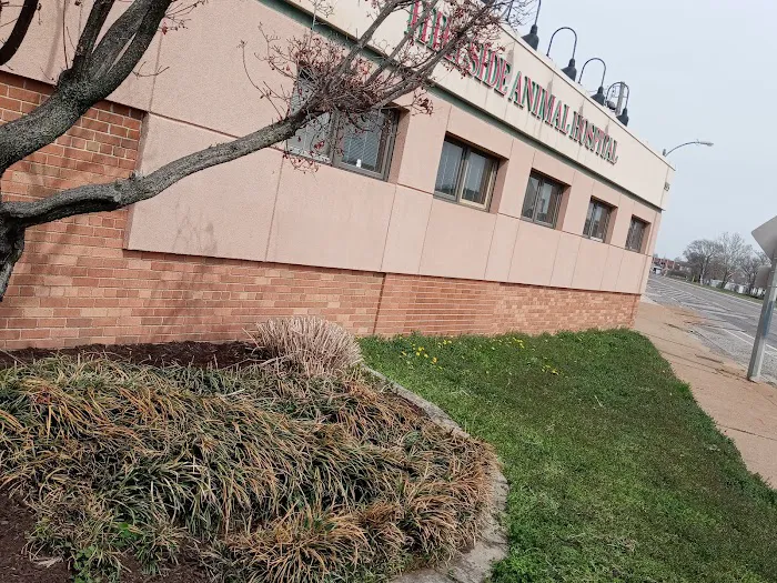 Hillside Animal Hospital Picture 5