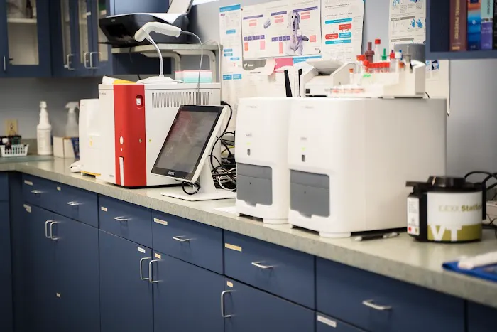 Hillside Animal Hospital Picture 7