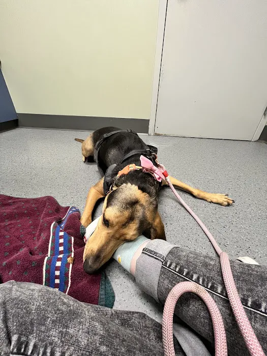 Hillside Animal Hospital Picture 6