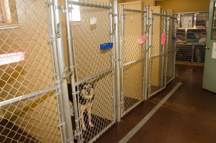 Hillside Animal Hospital Picture 10