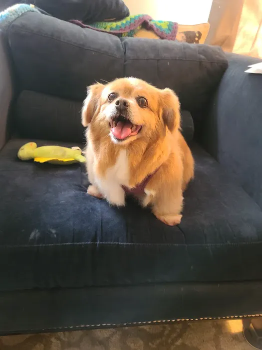 Banfield Pet Hospital Picture 3