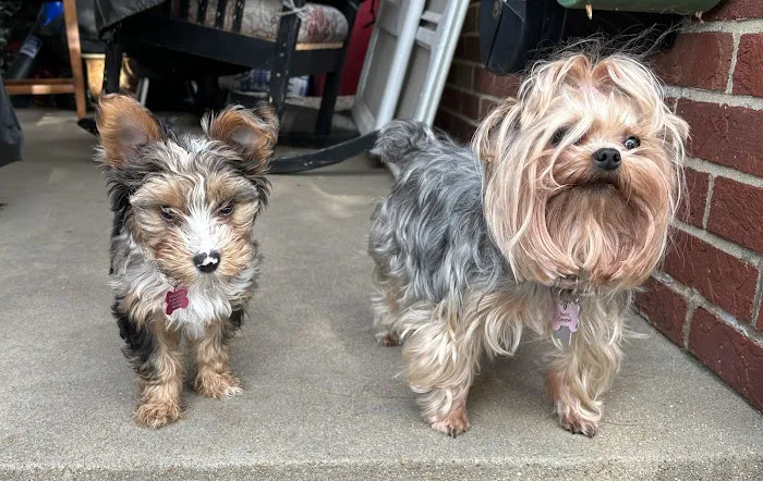 Banfield Pet Hospital Picture 2