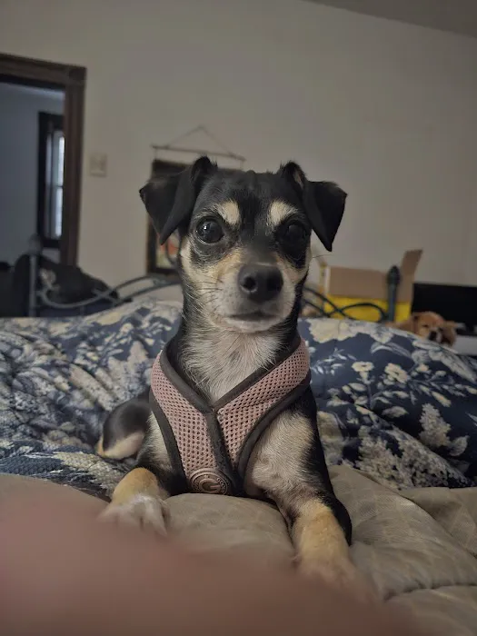 Banfield Pet Hospital Picture 1