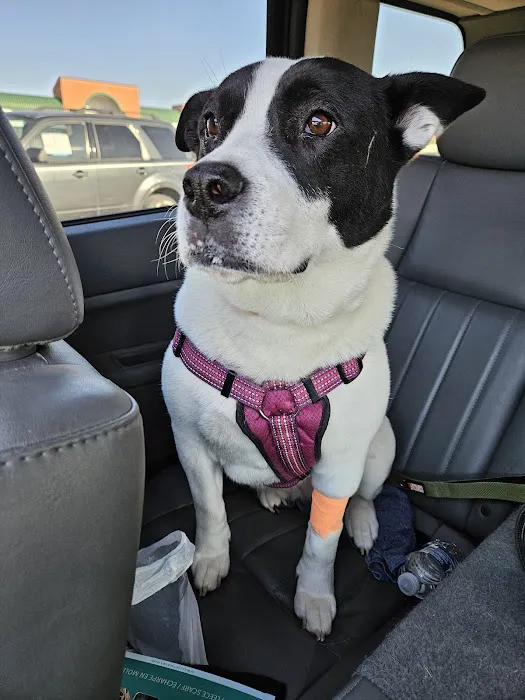 Banfield Pet Hospital Picture 9