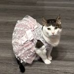 Chippewa Animal Hospital