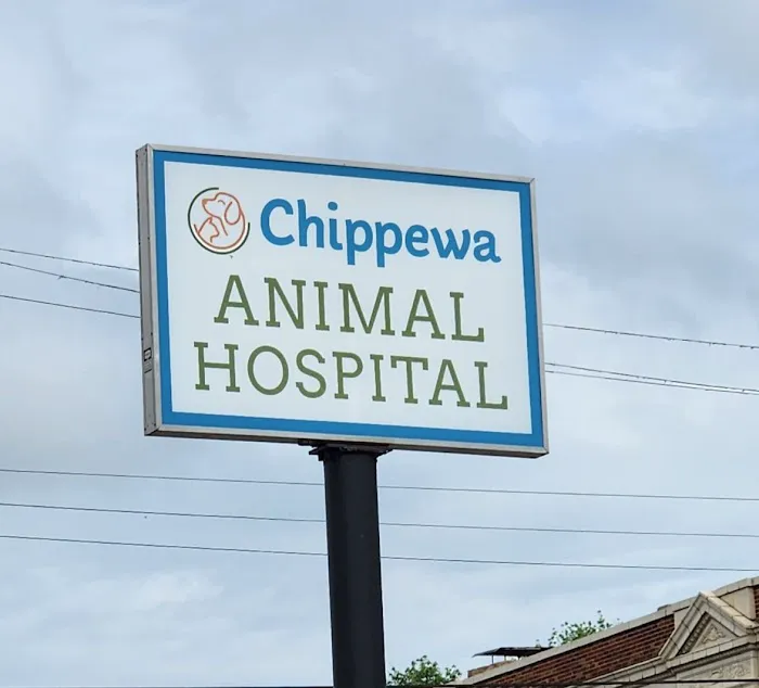 Chippewa Animal Hospital Picture 7