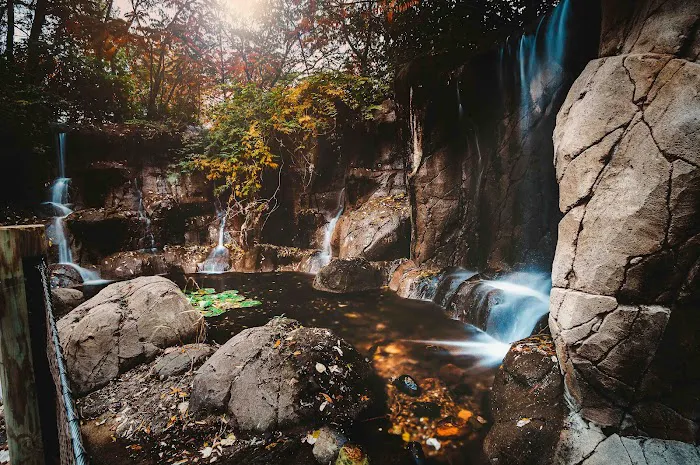 Animal Nutrition Center Picture 3