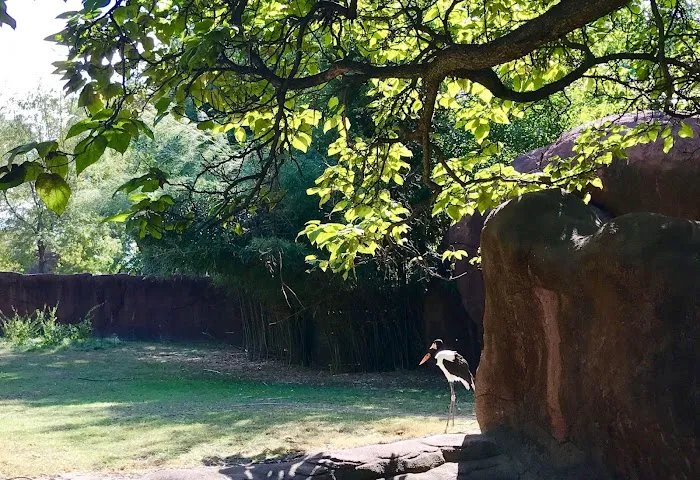 Animal Nutrition Center Picture 5