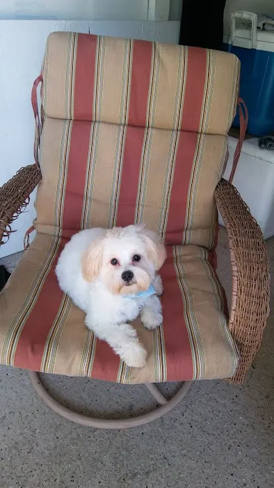 Banfield Pet Hospital Picture 2