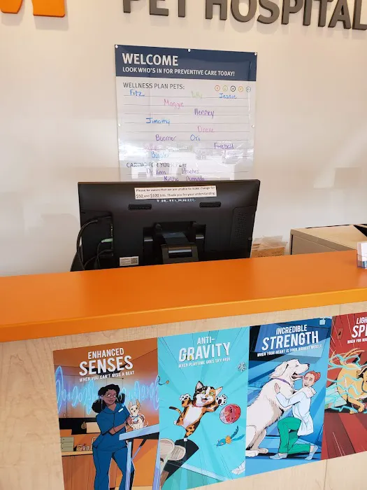 Banfield Pet Hospital Picture 3