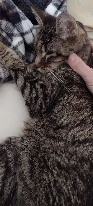 Banfield Pet Hospital Picture 6