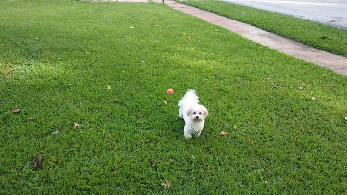 Banfield Pet Hospital Picture 7