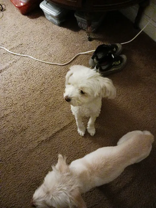 Banfield Pet Hospital Picture 8