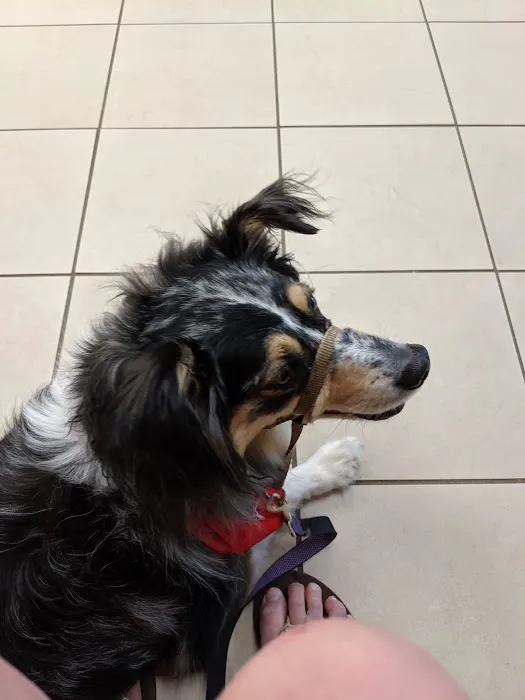 Millis Animal Hospital Picture 5