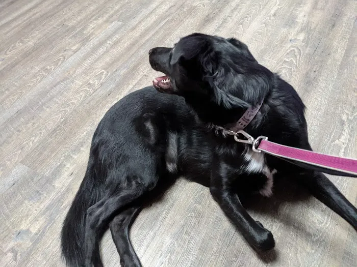 Big Bend Veterinary Clinic Picture 1