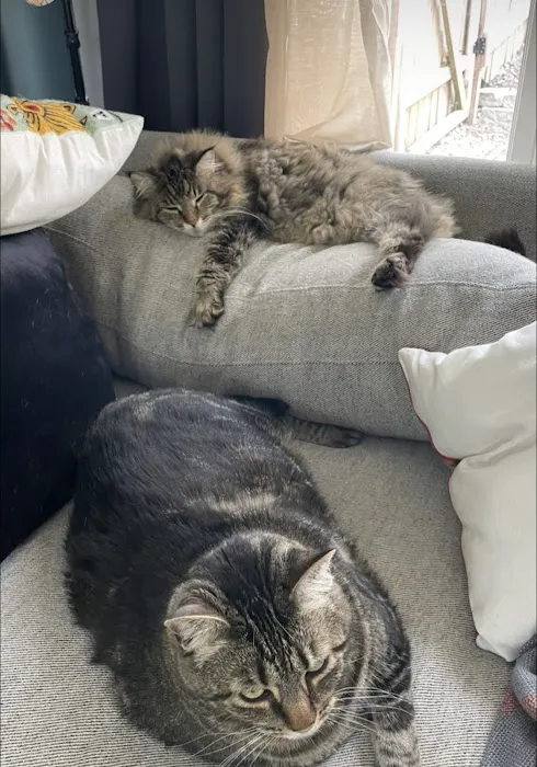 Big Bend Veterinary Clinic Picture 2