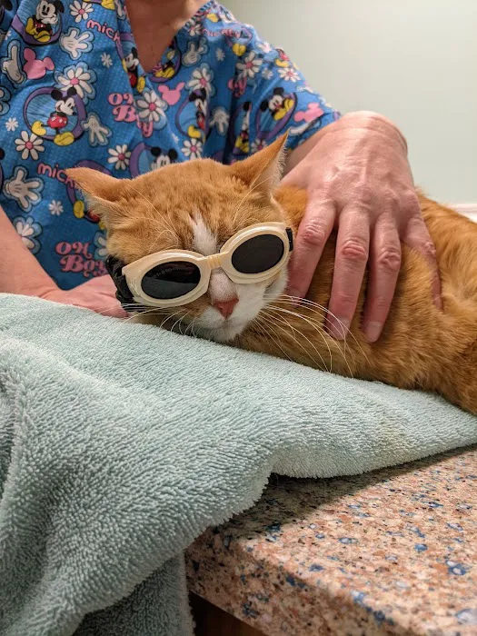 Big Bend Veterinary Clinic Picture 5