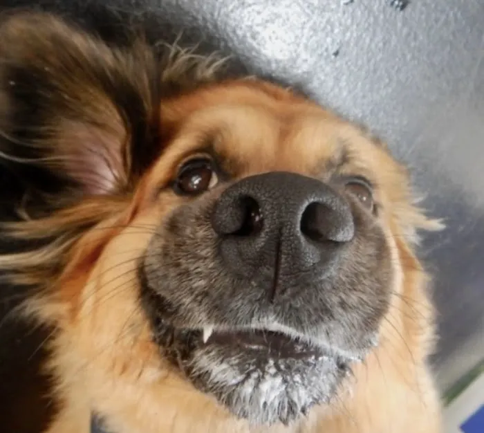 Big Bend Veterinary Clinic Picture 3