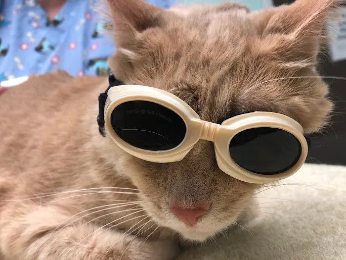 Big Bend Veterinary Clinic Picture 4