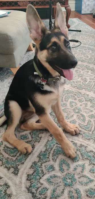 Big Bend Veterinary Clinic Picture 8