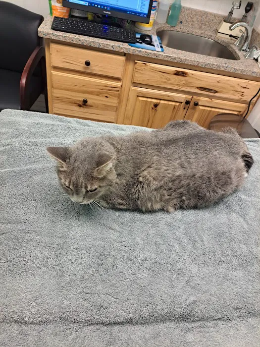 Big Bend Veterinary Clinic Picture 6