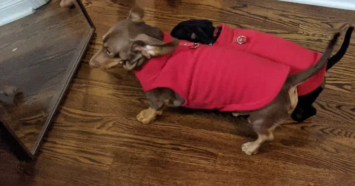 Big Bend Veterinary Clinic Picture 9