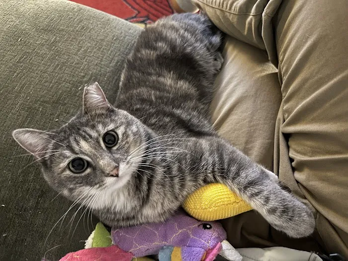 Vetco Total Care Animal Hospital Picture 4