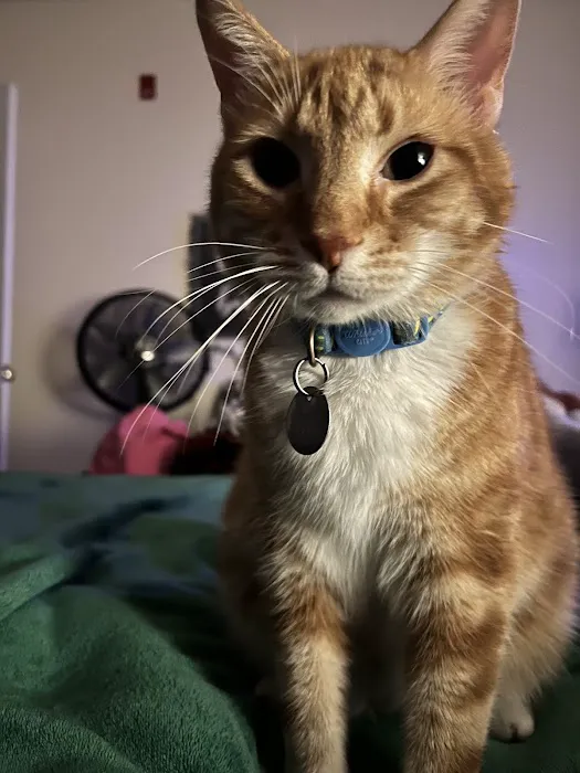 Vetco Total Care Animal Hospital Picture 5